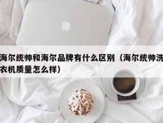 海尔统帅和海尔品牌有什么区别（海尔统帅洗衣机质量怎么样）