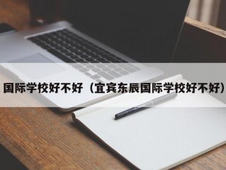 国际学校好不好（宜宾东辰国际学校好不好）