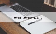 杨利伟（杨利伟什么军衘）