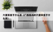 六堡茶属于什么茶（广西梧州的六堡茶属于什么茶）