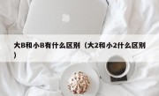 大B和小B有什么区别（大2和小2什么区别）