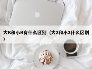 大B和小B有什么区别（大2和小2什么区别）