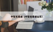 中智关爱通（中智关爱通山东）