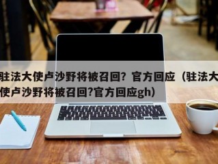 驻法大使卢沙野将被召回？官方回应（驻法大使卢沙野将被召回?官方回应gh）