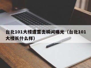 台北101大楼遭雷击瞬间曝光（台北101大楼长什么样）