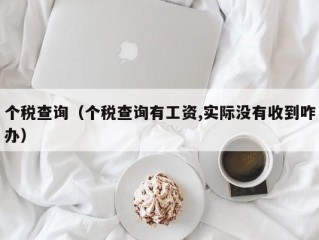 个税查询（个税查询有工资,实际没有收到咋办）