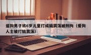 遛狗男子将6岁儿童打成脑震荡被刑拘（爱狗人士被打脑震荡）