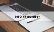 拿破仑（拿破仑的妻子）