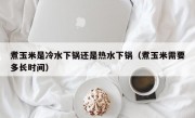 煮玉米是冷水下锅还是热水下锅（煮玉米需要多长时间）