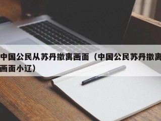 中国公民从苏丹撤离画面（中国公民苏丹撤离画面小辽）