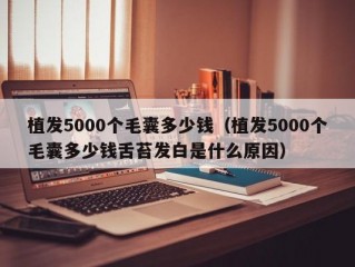 植发5000个毛囊多少钱（植发5000个毛囊多少钱舌苔发白是什么原因）