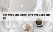 艺术生文化课补习机构（艺考生文化课补课机构）