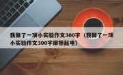 我做了一项小实验作文300字（我做了一项小实验作文300字摩擦起电）