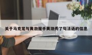 关于马克龙与黄渤握手黄渤秀了句法语的信息