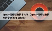 山东外国语职业技术大学（山东外国语职业技术大学2023年录取线）