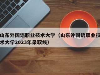 山东外国语职业技术大学（山东外国语职业技术大学2023年录取线）