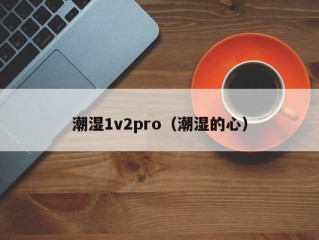 潮湿1v2pro（潮湿的心）