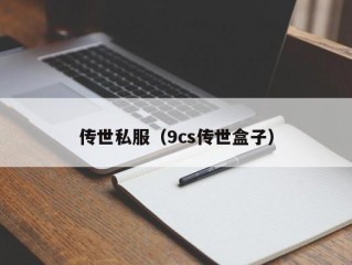 传世私服（9cs传世盒子）