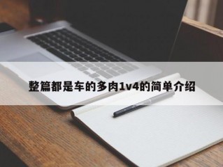 整篇都是车的多肉1v4的简单介绍