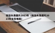 微信头像图片2023年（微信头像图片2023年女生唯美）