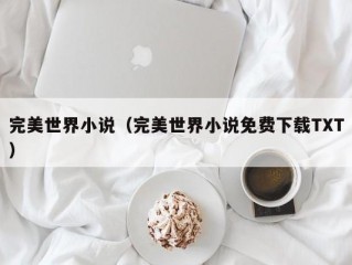 完美世界小说（完美世界小说免费下载TXT）